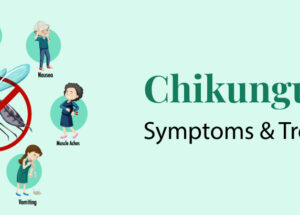 Chikungunya: Symptoms and Treatment